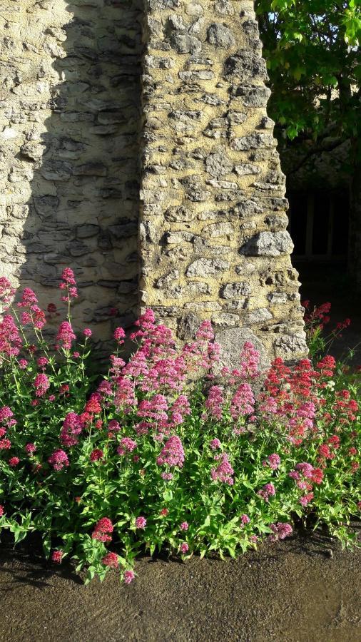 Gite Aux Tournesols Malaucène المظهر الخارجي الصورة