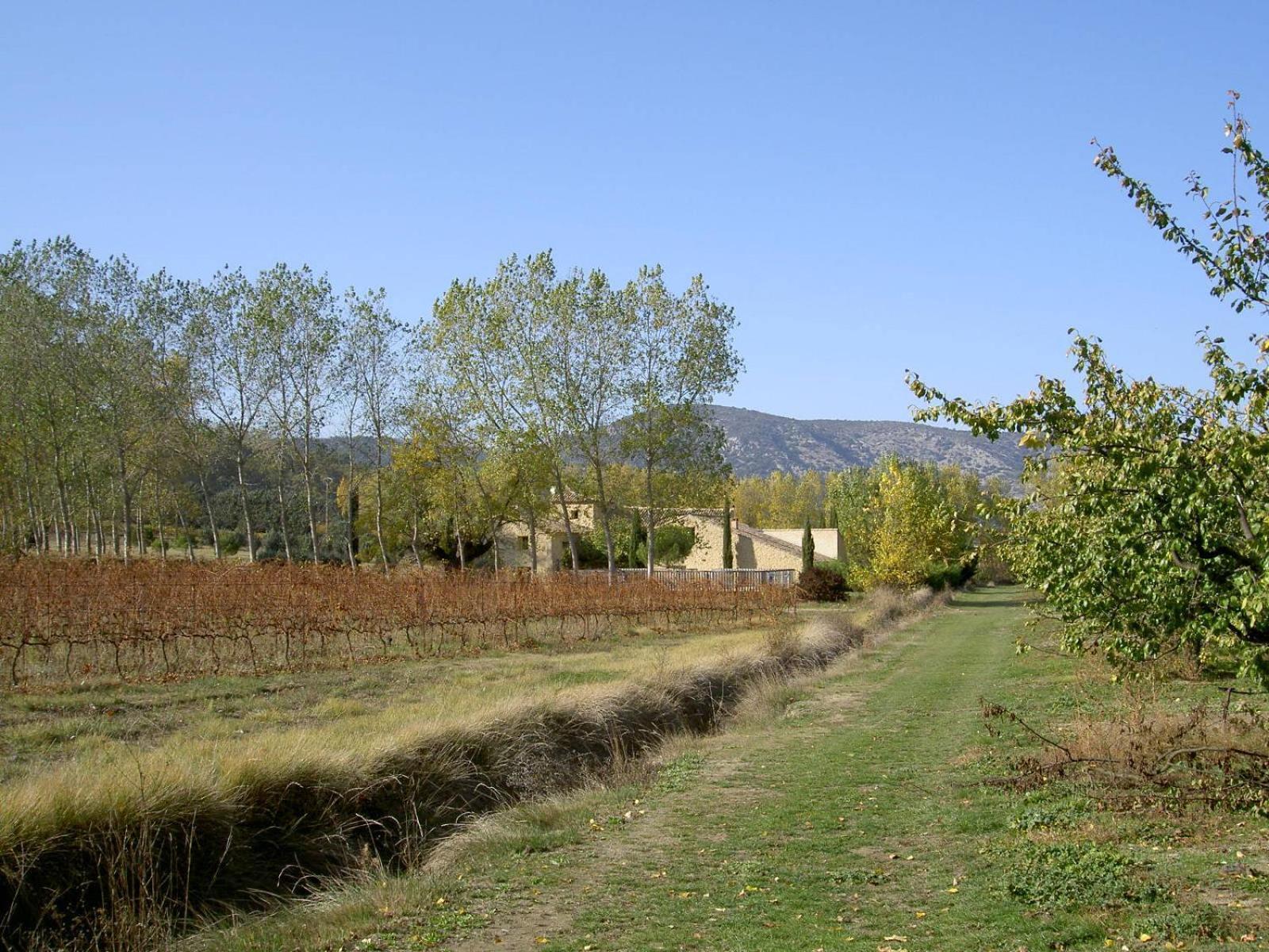 Gite Aux Tournesols Malaucène المظهر الخارجي الصورة